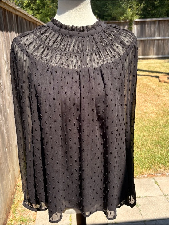 J. Crew Tops - J. Crew Black Sheer Swiss Dot Ruffled Yoke Blouse